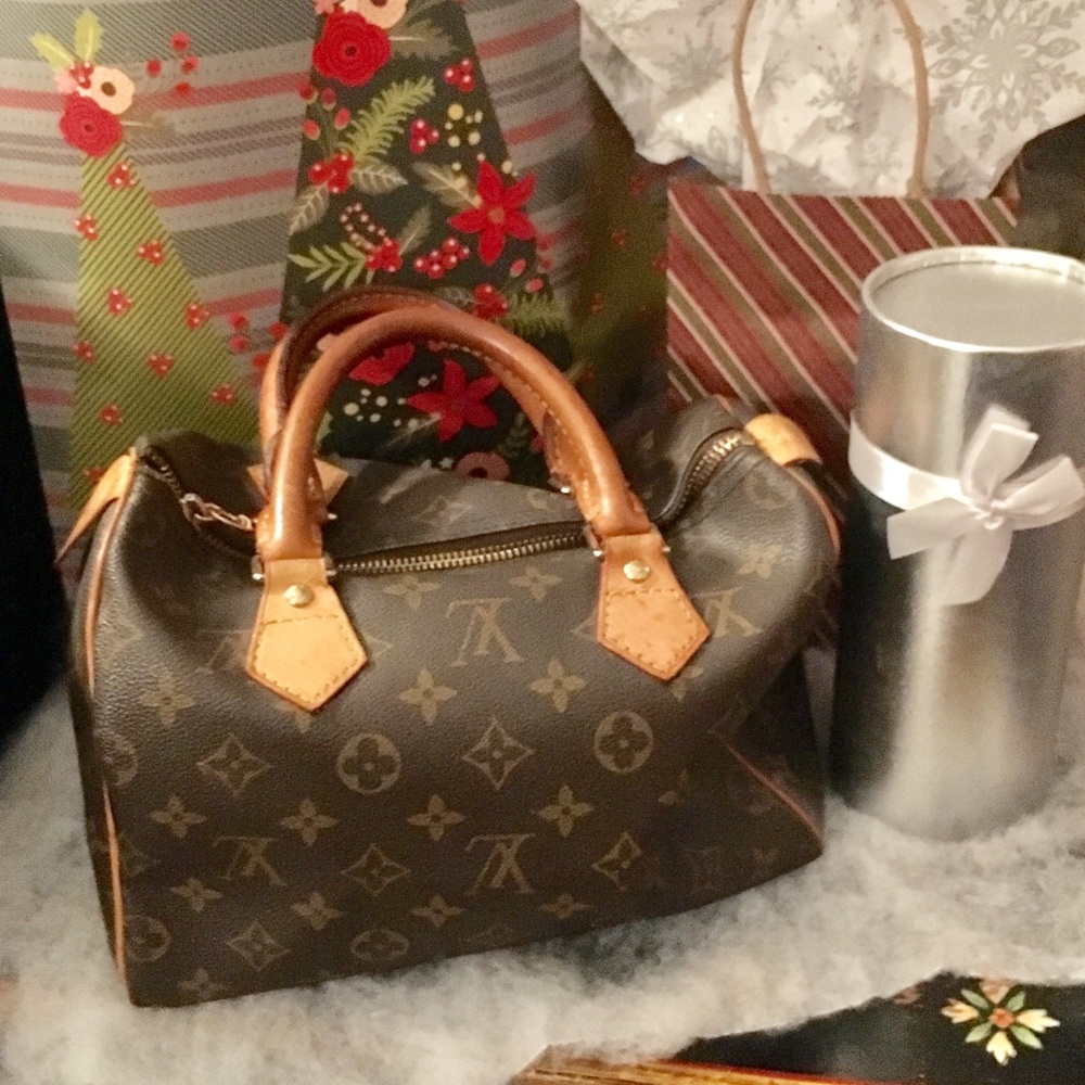 Louis Vuitton Speedy 25